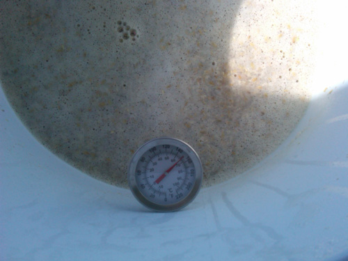 Mash Temp