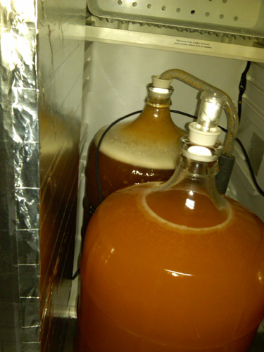 Inside Ferm Chamber 1