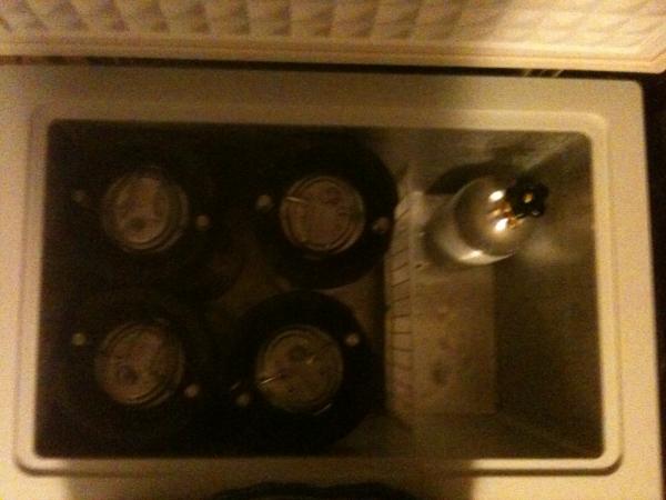 Avanti 7.1 Freezer fits 4 corny's and the 5# CO2 on the hump