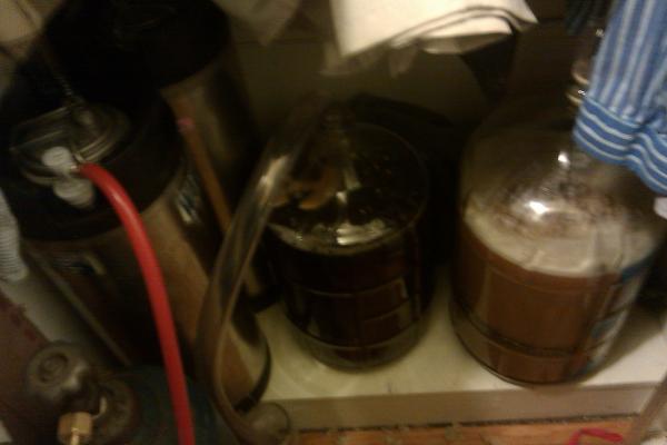 Fermentation area.... for now.