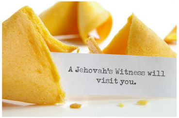 cookie   witness