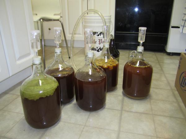 From left to right: dry hopped with kent goldings, secret ingredient, american amber control, mango/peach, secret ingredient II