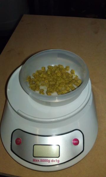 Scales!