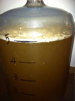 Ferm day 1