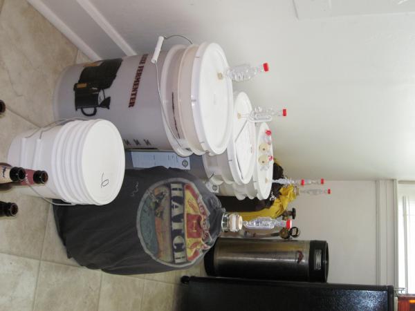 ferment