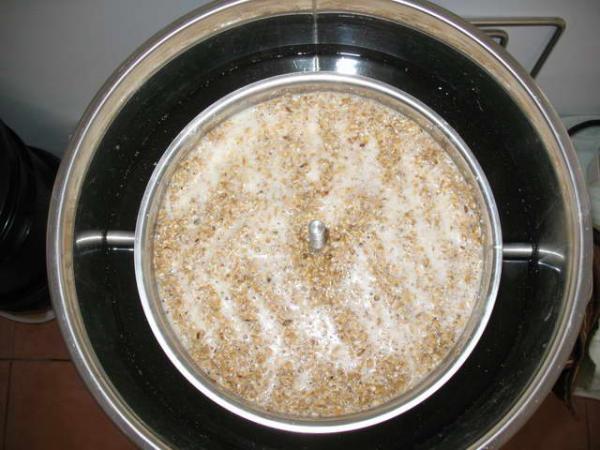 Mash-in: 15lbs grain, 14L water.