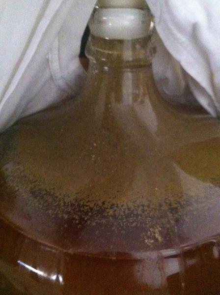 1st batch - pale ale