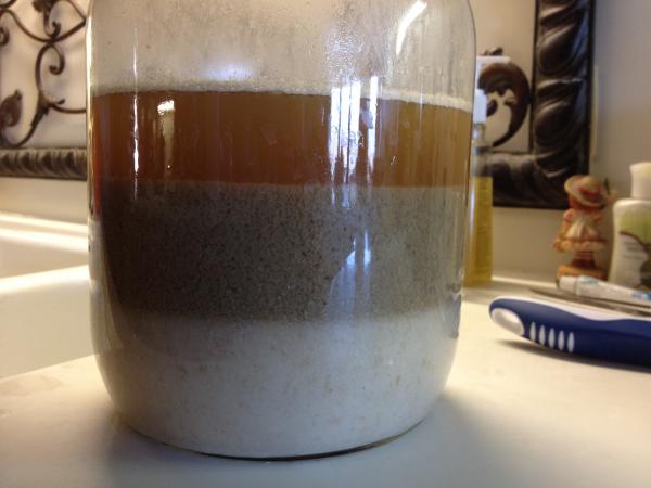 Washing lager yeast