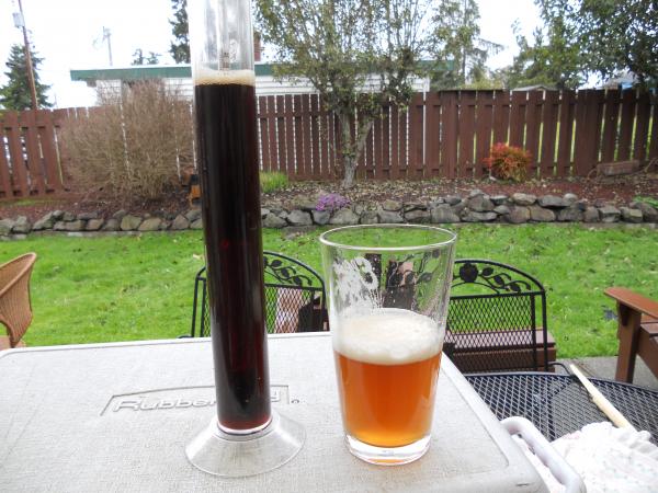 Blk.IPA & Diamond Knot IPA