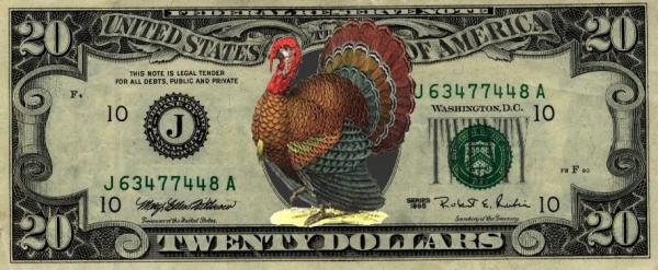 Twenty Dollar Turkey