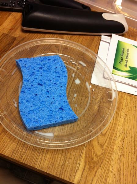 Soaked sponge in milk.