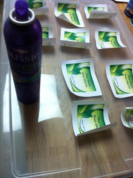 Hairsprayed to protect the ink.