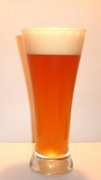 Yankee Duck APA