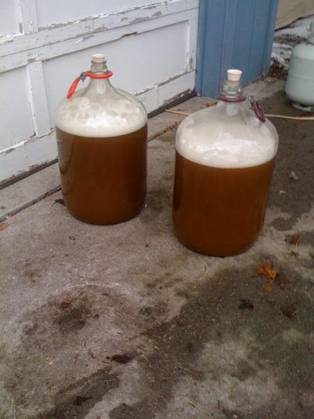 Very First Brew Feb 28 2010 - infected - smelled like a dairy barn when in the rain. lol