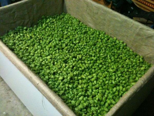 2011 colubus