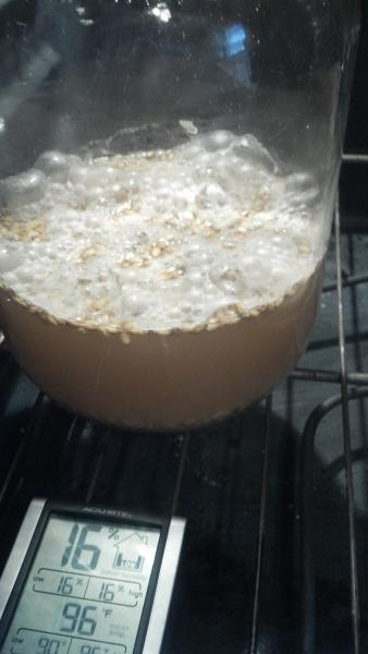 Sour Wort - 8 oz grains into o1 Liter 1.030 starter from DME and Simple Sugar