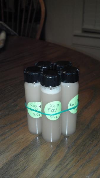 Yeast bank