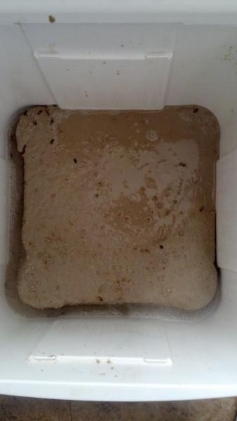 Grain bed after decoction