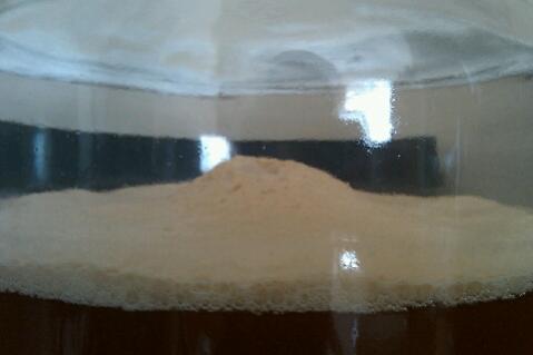 Krausen on the Apfelwein about 18 hours after pitching the yeast.  This died down about 4 hours later.