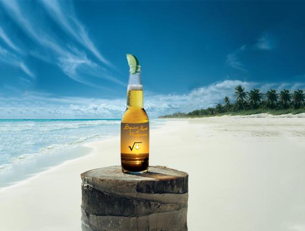 beer on beech