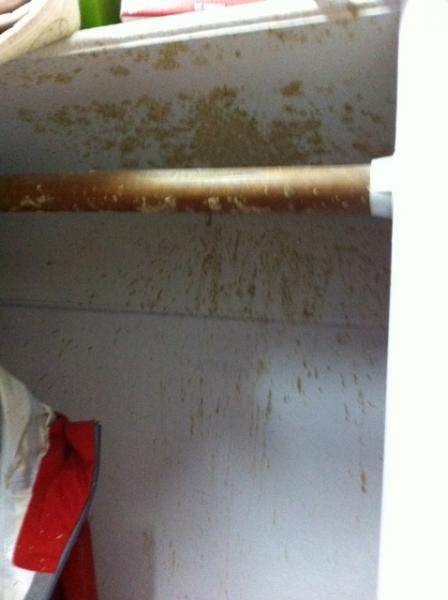 exploded in the closet