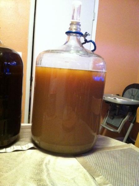 so i got a proper size pot and did a partial mash  belgian