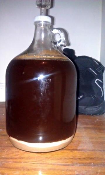 1 week of fermentation. Starting to darken up