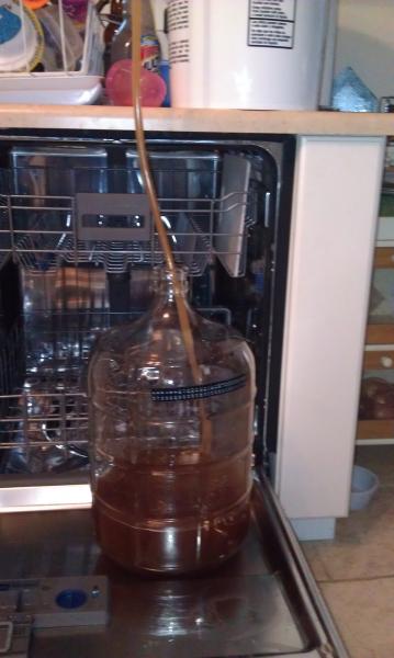 Racking to the secondary. Dead Guy clone