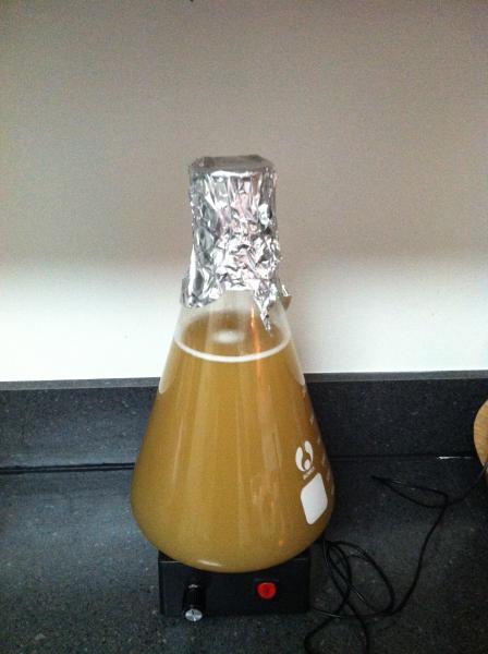 First yeast starter on my junk-2-treasure stir plate