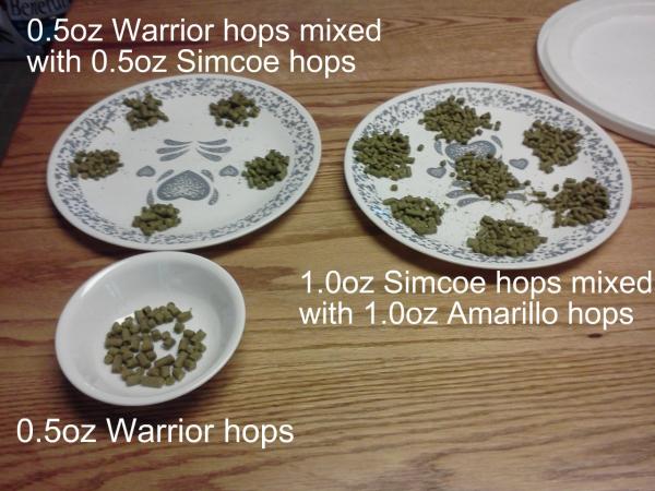 13 hop editions, similar to Dogfish Head 60 Minute IPA.