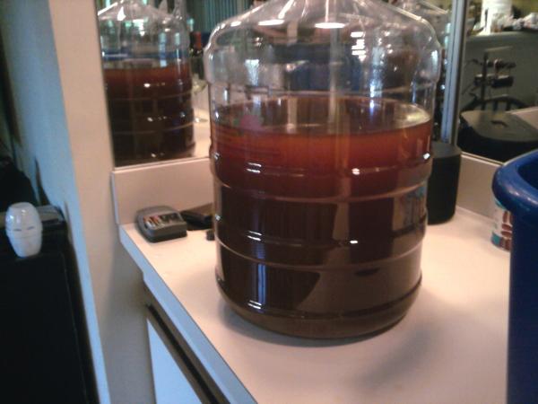 90 minute ipa clone secondary