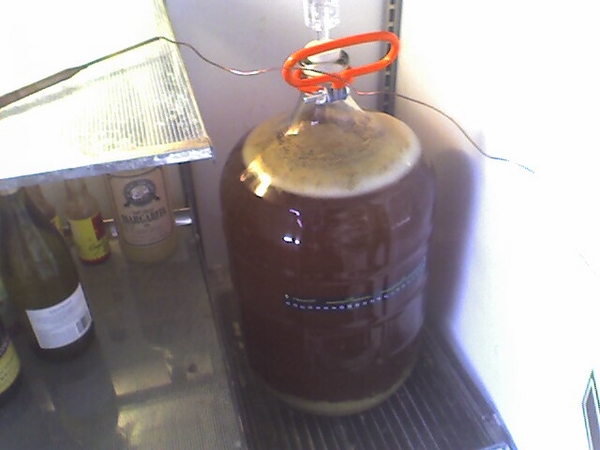 GermanPils