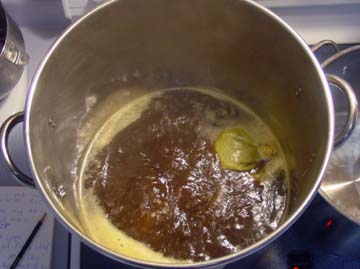 Boilingwort