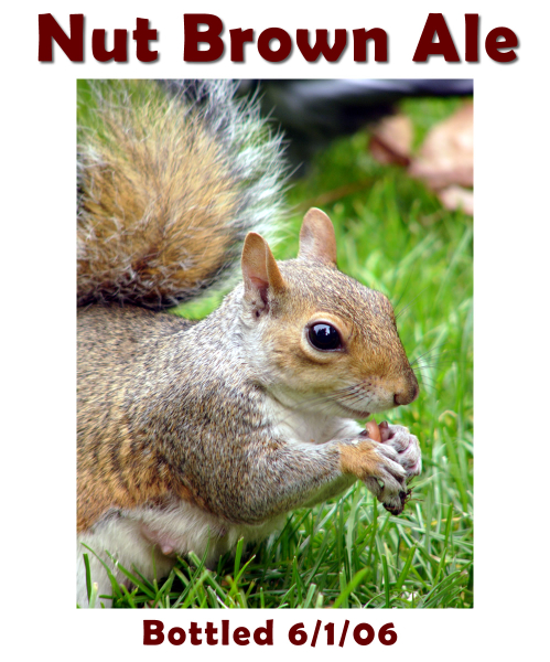 NutBrownB3Kit