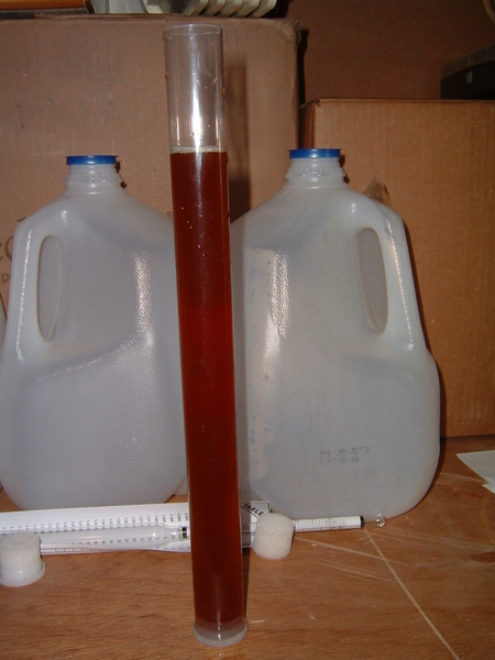 HausBrauenAmberAleHomeBrew