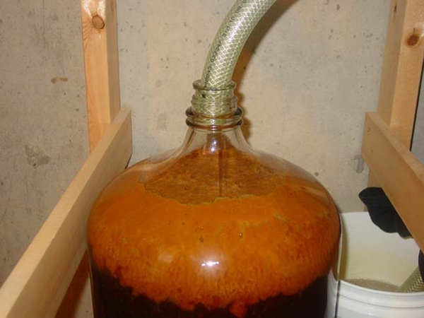 PumpkinAleKraeusen