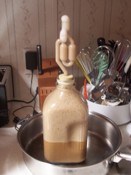 Yeast starter gone wild