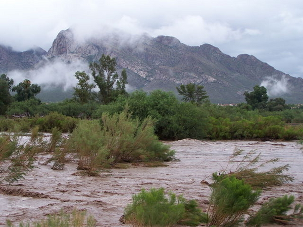 CanyonDelOroWash-Tucson