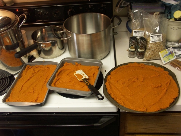 4545-pumpkinale-pumpkin