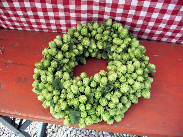 FreshmadeHopWreath