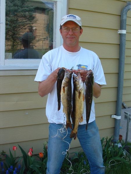 4189-bob_walleye
