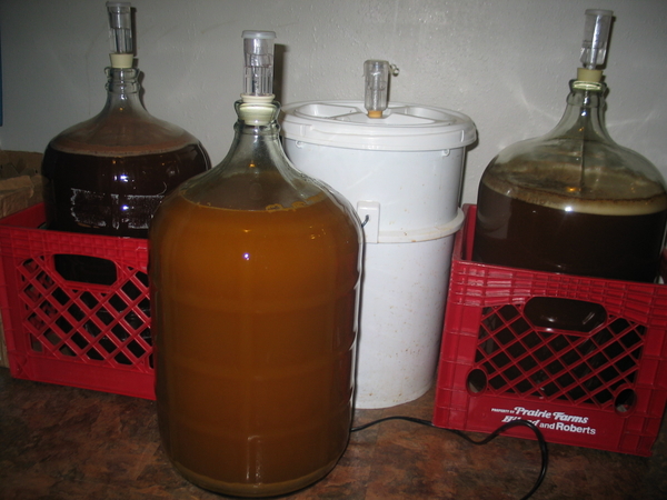 2025-beer001