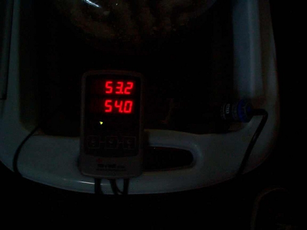 5206-temp