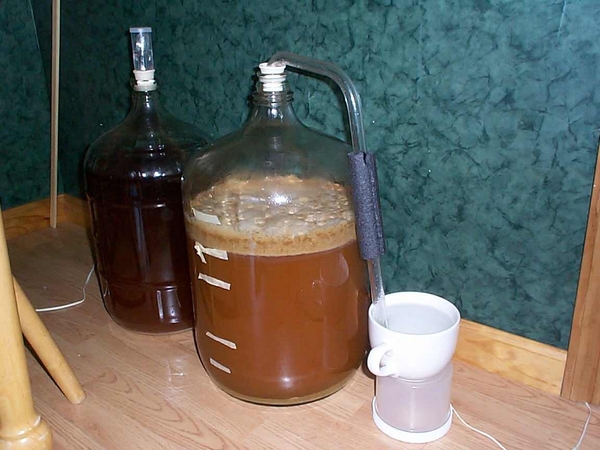 5206-Carboys
