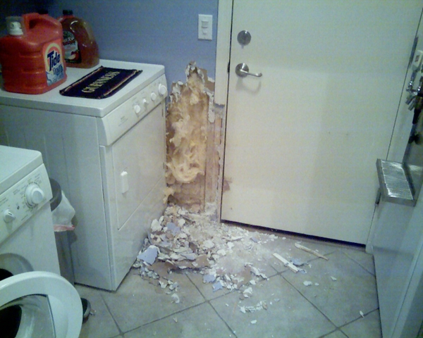 DoggieDestruction