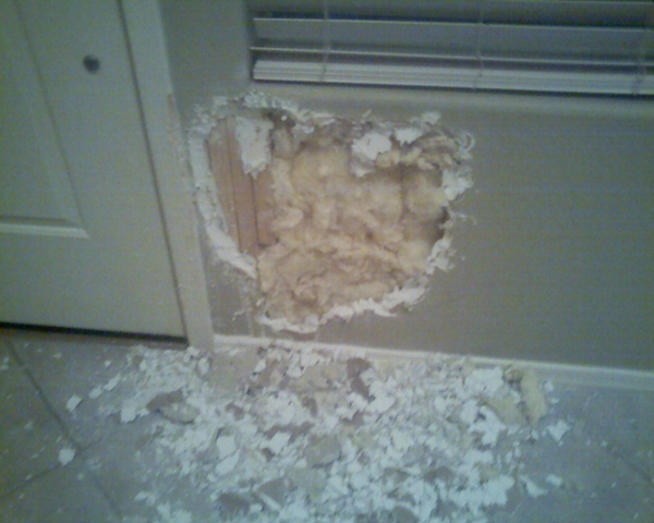 DoggieDestruction