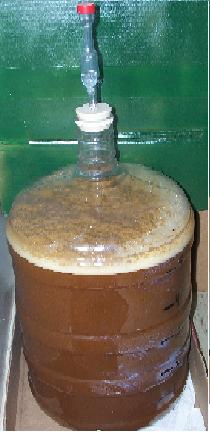 RedwoodHefeintheFermenter