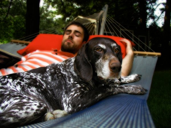 HammockDog