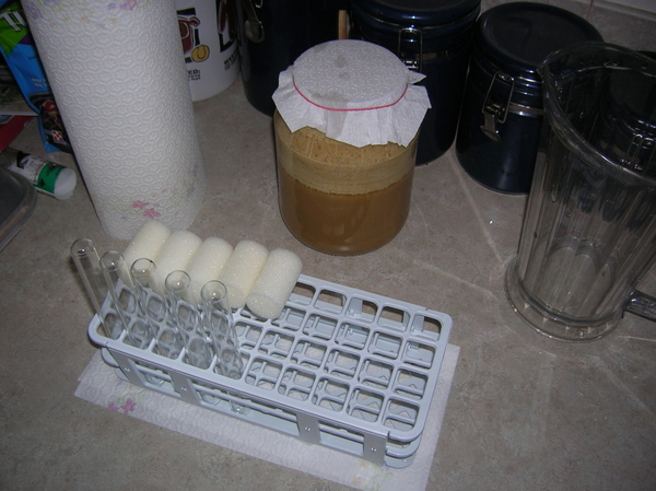 YeastCleaningandStorageStation