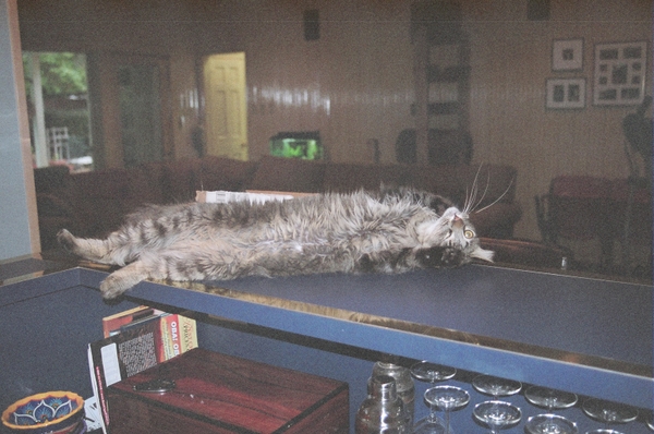 likkerdupandpassedout